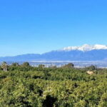 best wedding venue redlands best outdoor adorable wedding venue redlands ca
