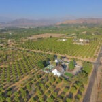 view king street orchard and other orchards An aerial photo of King Street Orchard in Redlands, California, highlights a perfect blend of natural beauty and event-ready infrastructure, making it the ideal venue for weddings, birthday parties, and retirement celebrations. Located in the tranquil outskirts of Southern California, this expansive venue offers a serene atmosphere that captures the essence of a peaceful countryside setting.
From above, the aerial view showcases vast orchards stretching across the property, providing an enchanting backdrop for any event. The neatly arranged rows of fruit trees exude a rustic charm, creating a romantic and intimate setting for weddings and a relaxed, inviting space for any celebration. The lush greenery and wide-open spaces make it easy to envision an unforgettable event immersed in nature's beauty. The natural surroundings of the orchard require minimal decoration, as the venue itself brings an organic elegance to every occasion.
The aerial photo also reveals a spacious dance floor, perfectly nestled among the trees. This open area serves as a lively focal point for weddings, where guests can dance under the stars, or for birthday and retirement parties, offering a vibrant space for music and celebrations. The dance floor blends seamlessly into the landscape, allowing guests to enjoy the fresh air and scenic views while participating in the festivities.
Adjacent to the dance floor, a large deck is visible, equipped with tables and chairs. This versatile space is ideal for hosting dining receptions, cocktail hours, or simply providing a relaxed seating area for guests. Whether used for dinner or as a place for heartfelt toasts and speeches, the deck adds both functionality and elegance to the event. Overlooking the orchard, the deck allows guests to enjoy the tranquil ambiance while remaining comfortable and connected to the beauty of the outdoors.
King Street Orchard's vast open spaces and natural scenery make it one of Redlands’ best venues for hosting all types of events. Whether you're planning a wedding, a milestone birthday, or a retirement party, the venue’s combination of rustic charm, modern amenities, and serene surroundings offers a unique experience that can be tailored to any event. Its affordability and beauty make it an attractive option for those seeking a peaceful yet captivating location for their special occasions.