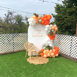 108 photo baby shower redlands event