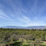 find affordable wedding venue near me