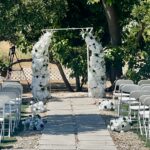 wedding arch outdoor beautiful redlands ca wedding